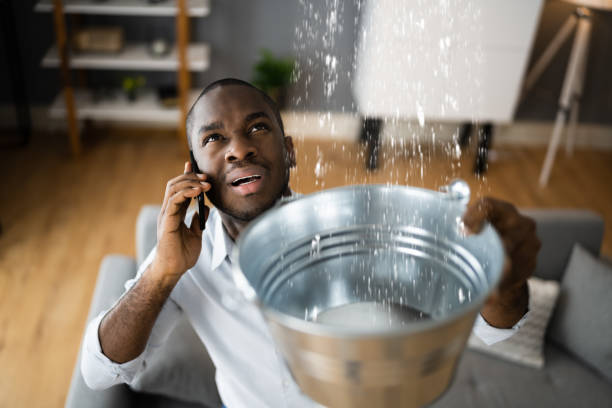 Best Water damage restoration mold remediation  in Ontario, OH