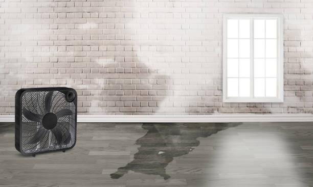 Best Local water damage restoration  in Ontario, OH