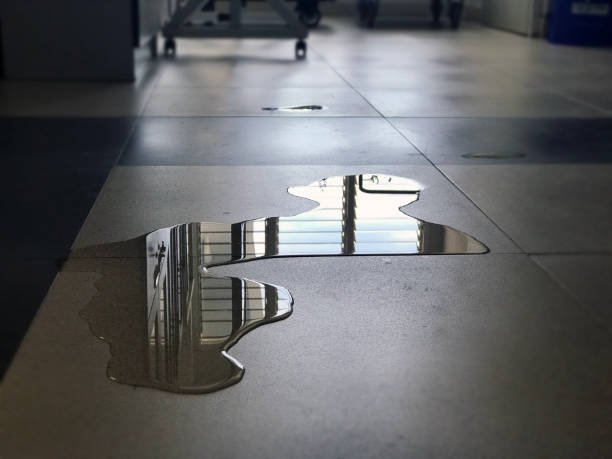 Best Professional water damage repair  in Ontario, OH