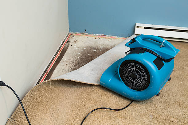 Best Mold removal after water damage  in Ontario, OH